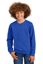 District?? Youth V.I.T.Ÿ?? Fleece Crew DT6104Y